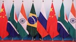 New Delhi to host Brics FMs meet in May; Russia's Lavrov among key attendees