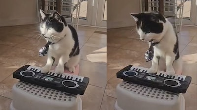 Kit featured in the 2024 BBC Drama, Dead and Buried. Credits/Irish Examiner