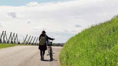 Indian travellers consider sustainability important when choosing travel options. Credits/Pexels