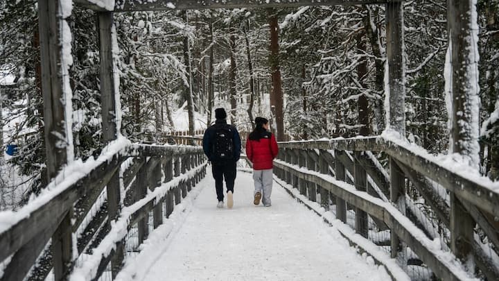 How to be happy? Finland’s free trip invites travellers to learn the secret Firstpost Image