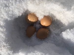 Representational Image. Image Courtesy/ Pexels