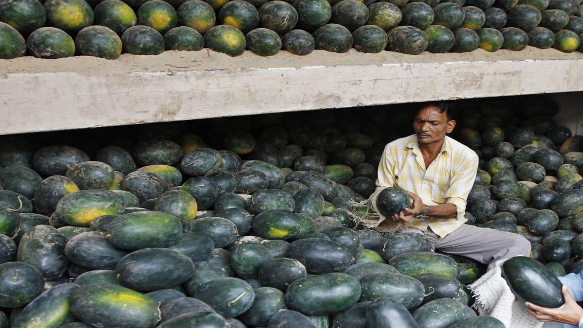 Watermelons for Rs 7 in India? Is this the fallout of the Iran war?