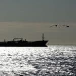 India emerges as key petrol supplier to Russia as Ukrainian drone attacks disrupt refineries; seaborne imports hit record 125,000 bpd in August