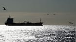 Could Iran drone strike on oil tanker near Dubai trigger an environmental disaster?
