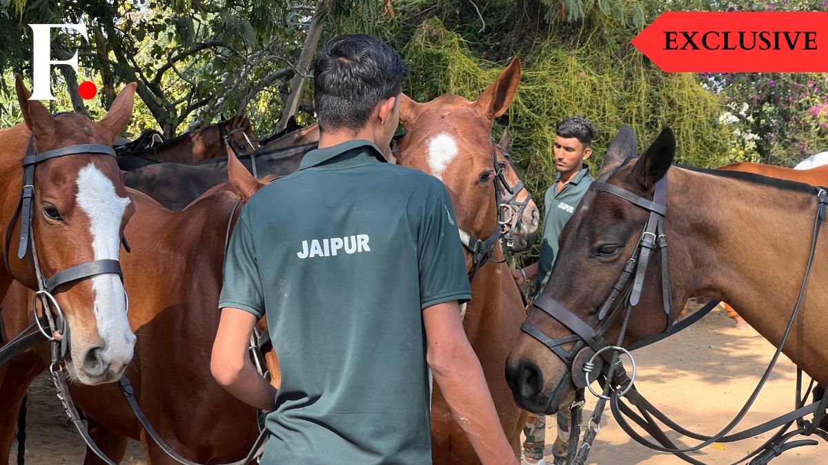 Grooms prep horses ahead of a match of the Raffles Sirmour Cup at the Rajasthan Polo Club ground in Jaipur, Rajasthan on February 13, 2026. Anmol Singla/Firstpost Grooms prep horses ahead of a match of the Raffles Sirmour Cup at the Rajasthan Polo Club ground in Jaipur, Rajasthan on February 13, 2026. Anmol Singla/Firstpost
