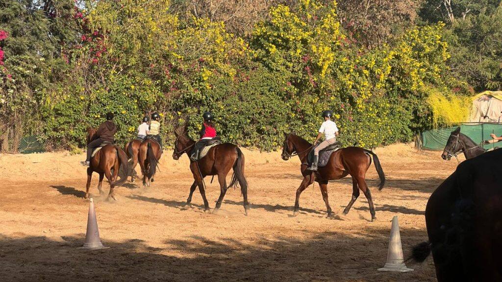 Jaipur Polo Rajasthan Polo Club
