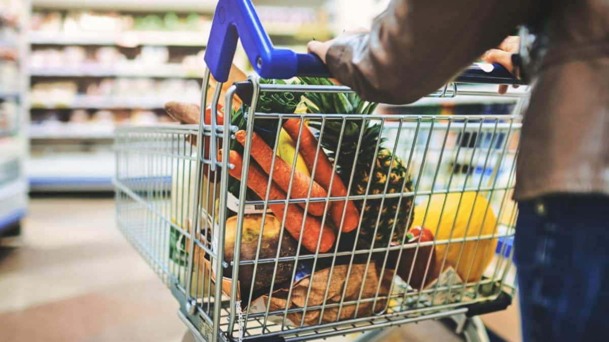 When Hormuz shut, food — not oil —became the Gulf’s real crisis