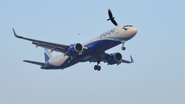 Airfares headed higher? How much could tickets cost as Iran war continues?