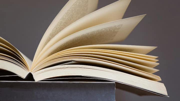 'Rebel English Academy' review: Mohammed Hanif's necessary jab from the margins of Pakistan