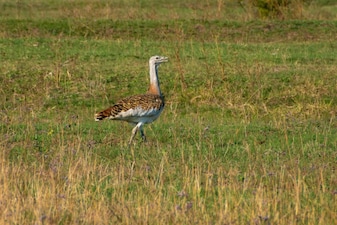 Representational Image. Image Courtesy/ Pexels