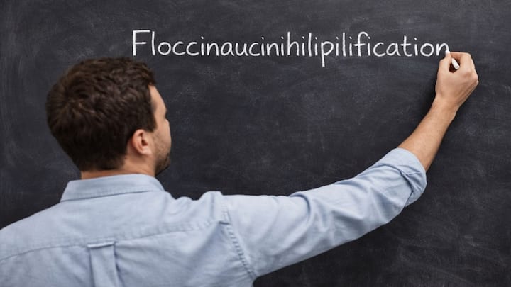 Floccinaucinihilipilification: The 29-letter tongue twister Delhi court used to dismiss Sitharaman defamation case