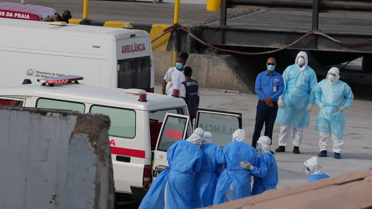 Is hantavirus spreading across the world? Could it lead to Covid-like ...
