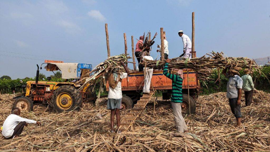india sugar