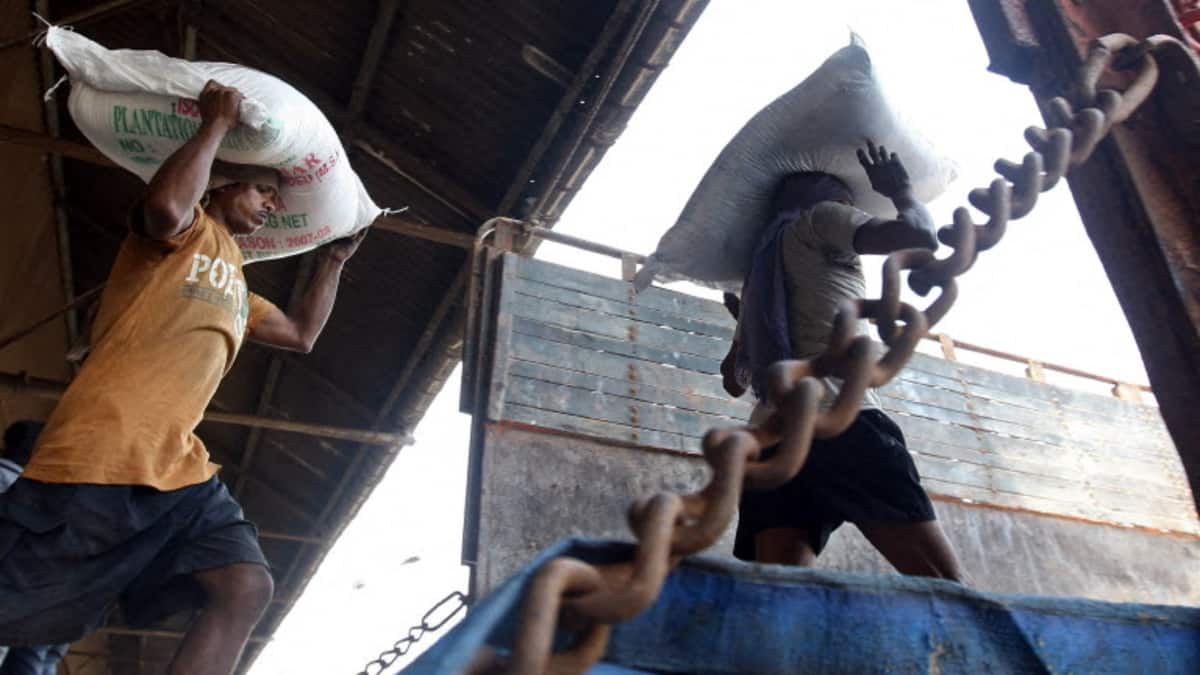 India bans sugar exports to cool domestic prices, risks global shortage shock