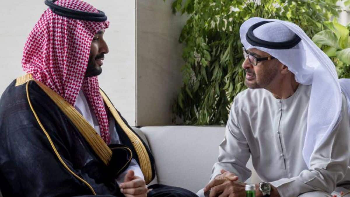 ‘UAE & Saudi Arabia see oil differently, renewables a must for secure supplies’: Energy expert on Opec exit