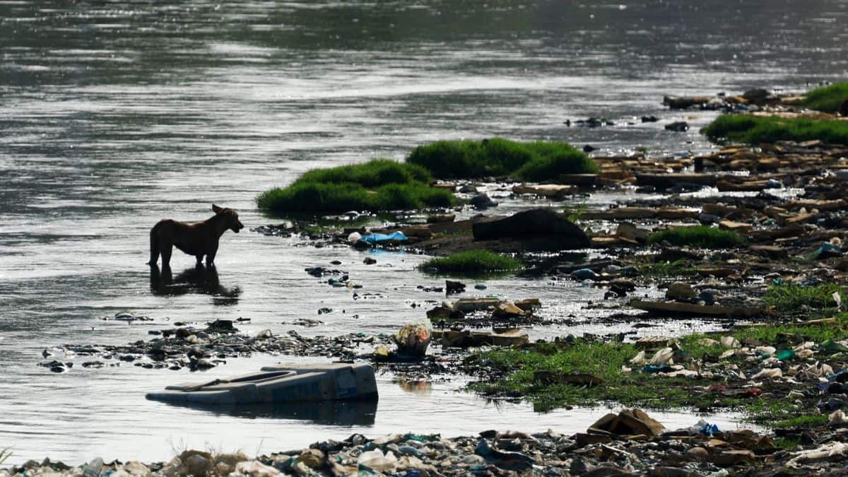 Karachi thirsts for water: Is there an Indus Waters Treaty link?