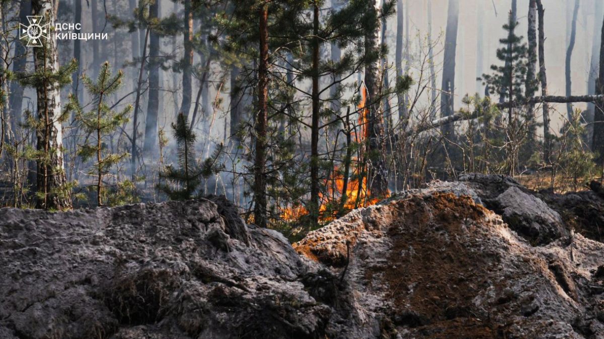 Russia, Ukraine accuse each other of violating Trump-backed ceasefire ...
