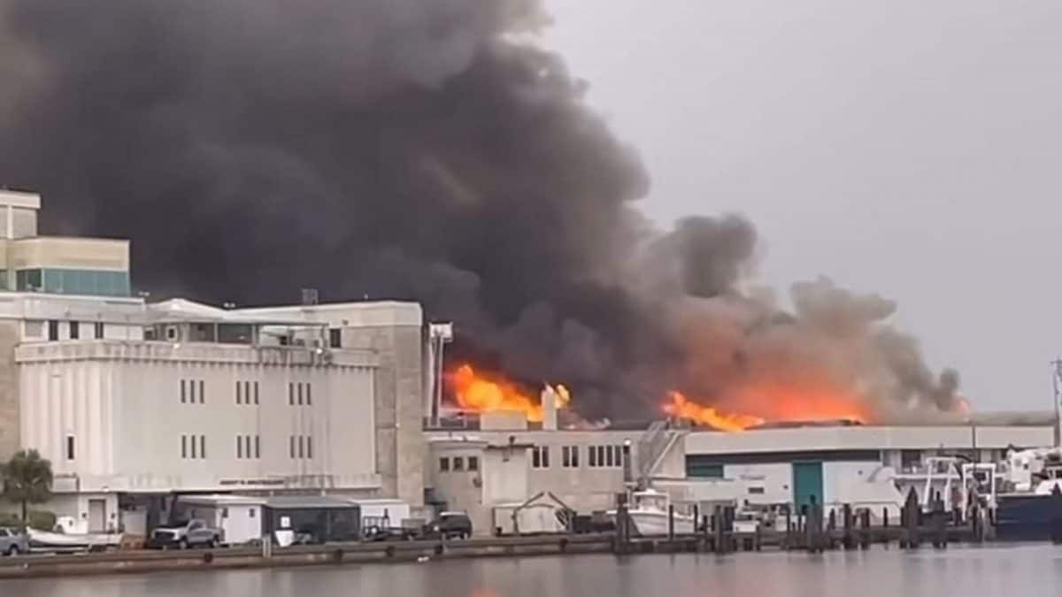 Massive fire engulfs science lab at University of South Florida’s St Petersburg campus, rescue ops underway