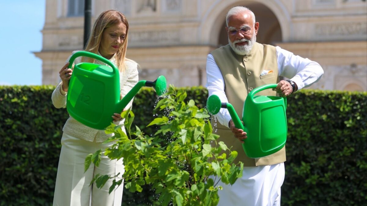 Watch: PM Modi plants black mulberry sapling with Meloni in Rome in symbol of India-Italy ties