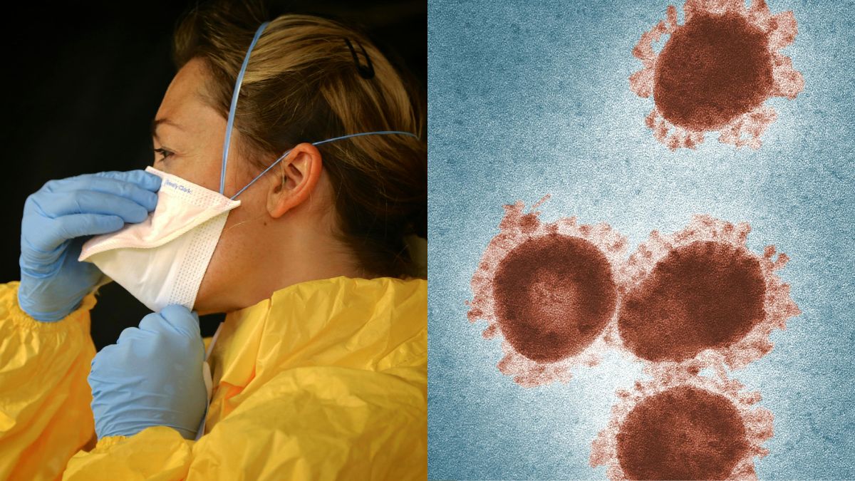 WHO declares Ebola emergency: Why Ebola is deadly, how it attacks you WHO declares Ebola emergency: Why Ebola is deadly, how it attacks you