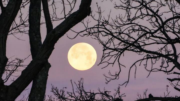 Blue Moon 2026: Why it's special and what makes it different Blue Moon 2026: Why it's special and what makes it different