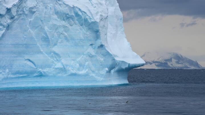 New study reveals India and Antarctica were connected: Here's what researchers found