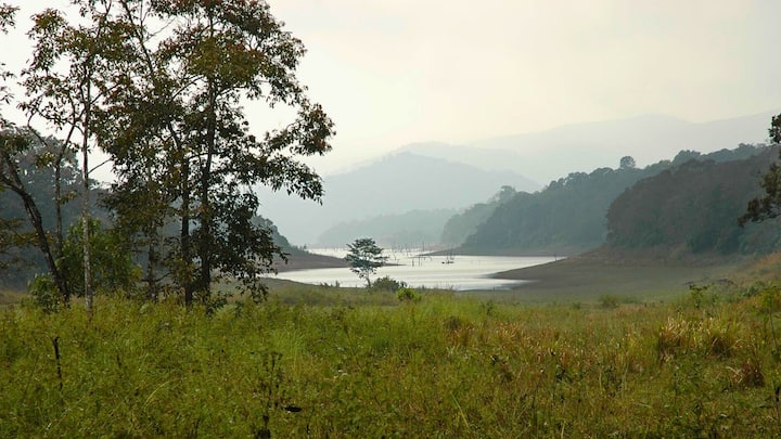 Why Periyar National Park is famous for elephant safaris and boat rides