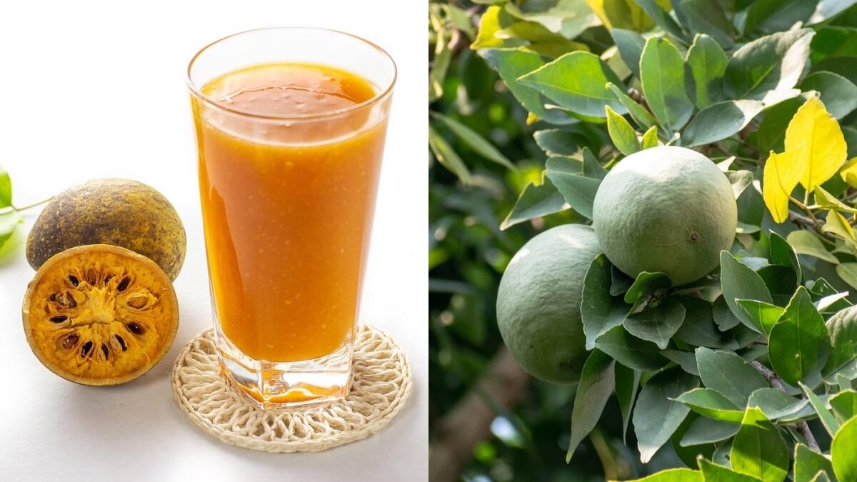 Why Bel sherbat is more than just a refreshing summer drink – Firstpost