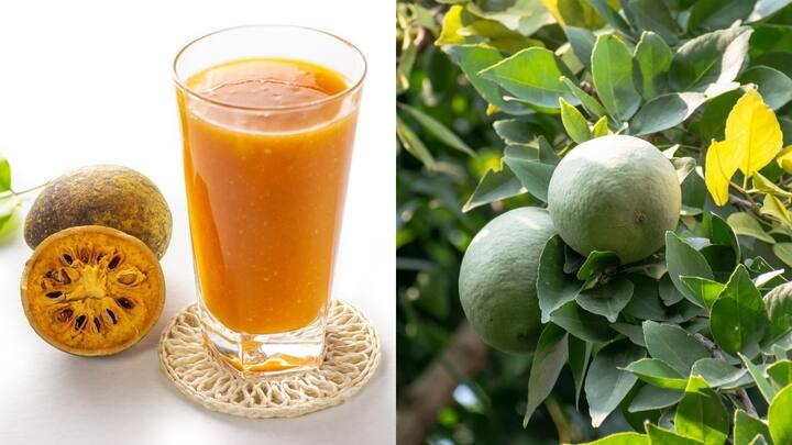 Why Bael sherbat is more than just a refreshing summer drink Why Bael sherbat is more than just a refreshing summer drink
