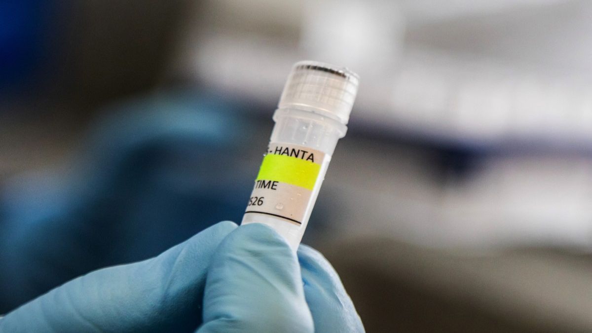 Why the Andes strain of hantavirus found in cruise ship passengers is most ...