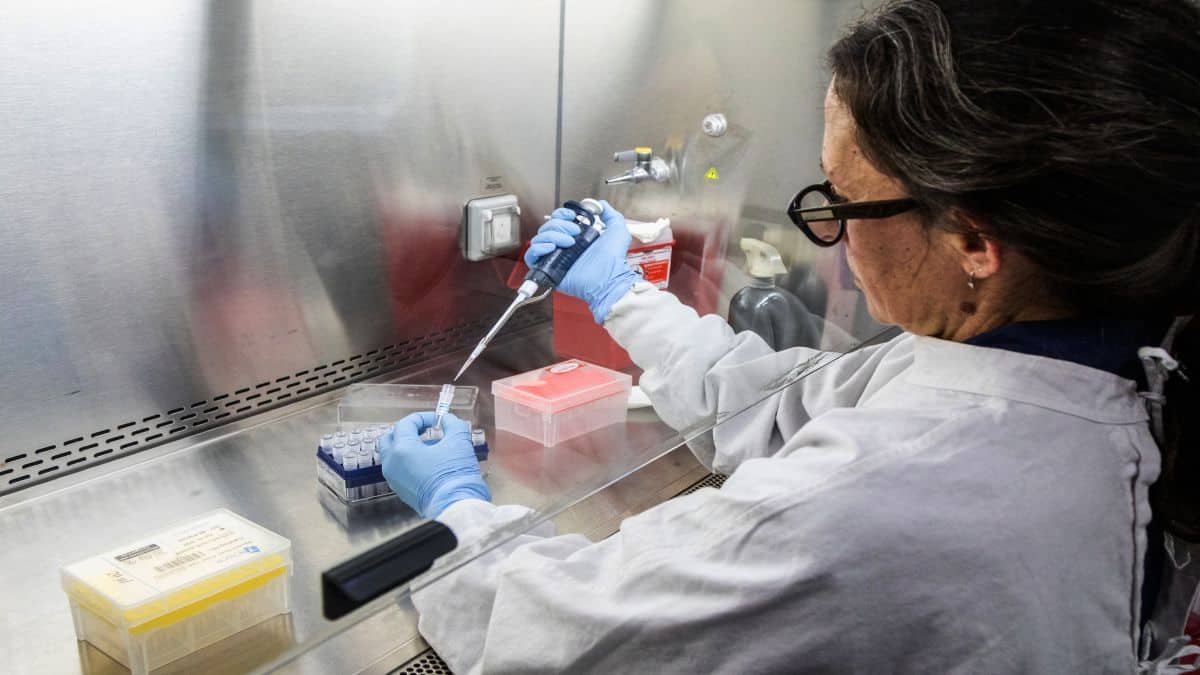 Hantavirus vs Covid: Which infection is more dangerous?