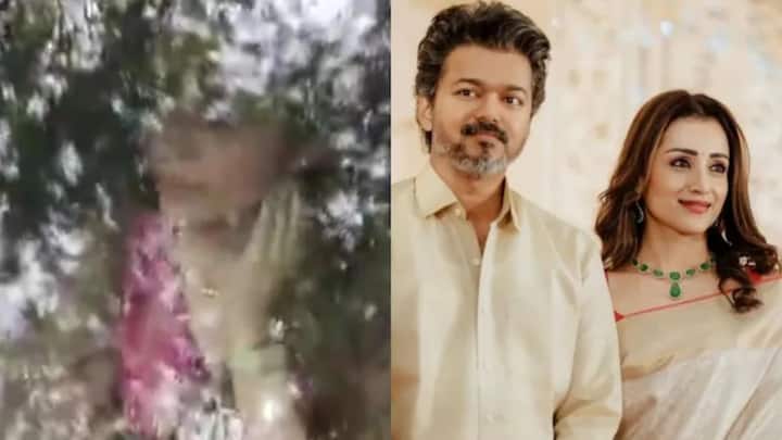 Trisha Krishnan reaches Thalapathy Vijay's home on her 43rd birthday amid Tamil Nadu poll results, video goes viral: WATCH