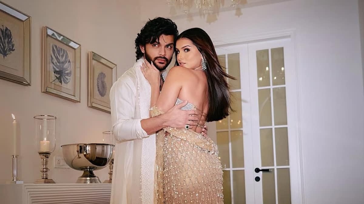 Veer Pahariya-Tara Sutaria break-up reason revealed amid rumours with Aditya Roy Kapur: 'She was said to be dominating, wanted to change...'