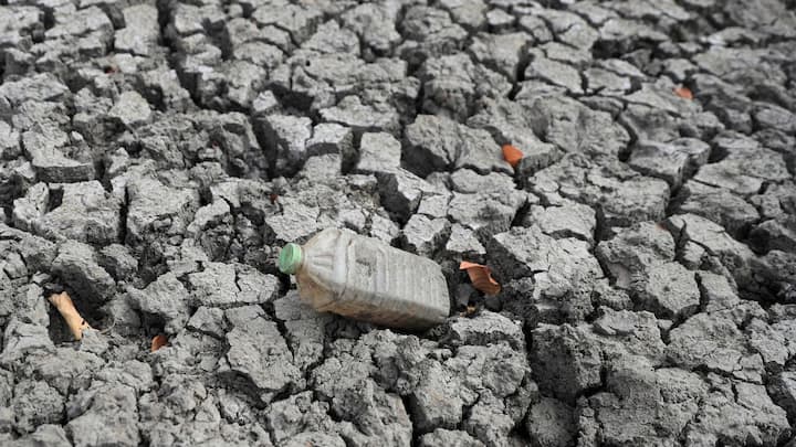 This year’s El Niño is labelled ‘Godzilla’! How devastating will it be? This year’s El Niño is labelled ‘Godzilla’! How devastating will it be?