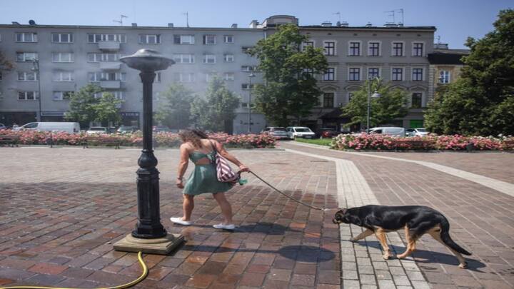 Germany, Poland, and Czechia record hottest temperatures as Europe reels with intense heatwaves Germany, Poland, and Czechia record hottest temperatures as Europe reels with intense heatwaves