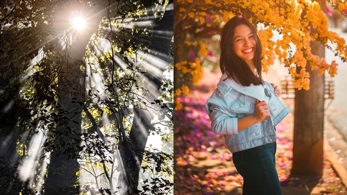 How Sunlight Affects Your Mental Health: Why Sun Exposure Matters - health news from Firstpost