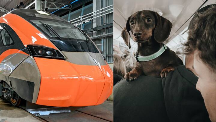 How to book pet box service on Vande Bharat sleeper train: Rules, charges and process