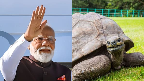 Which is the world's oldest living land animal PM Modi will meet in Seychelles? – Firstpost