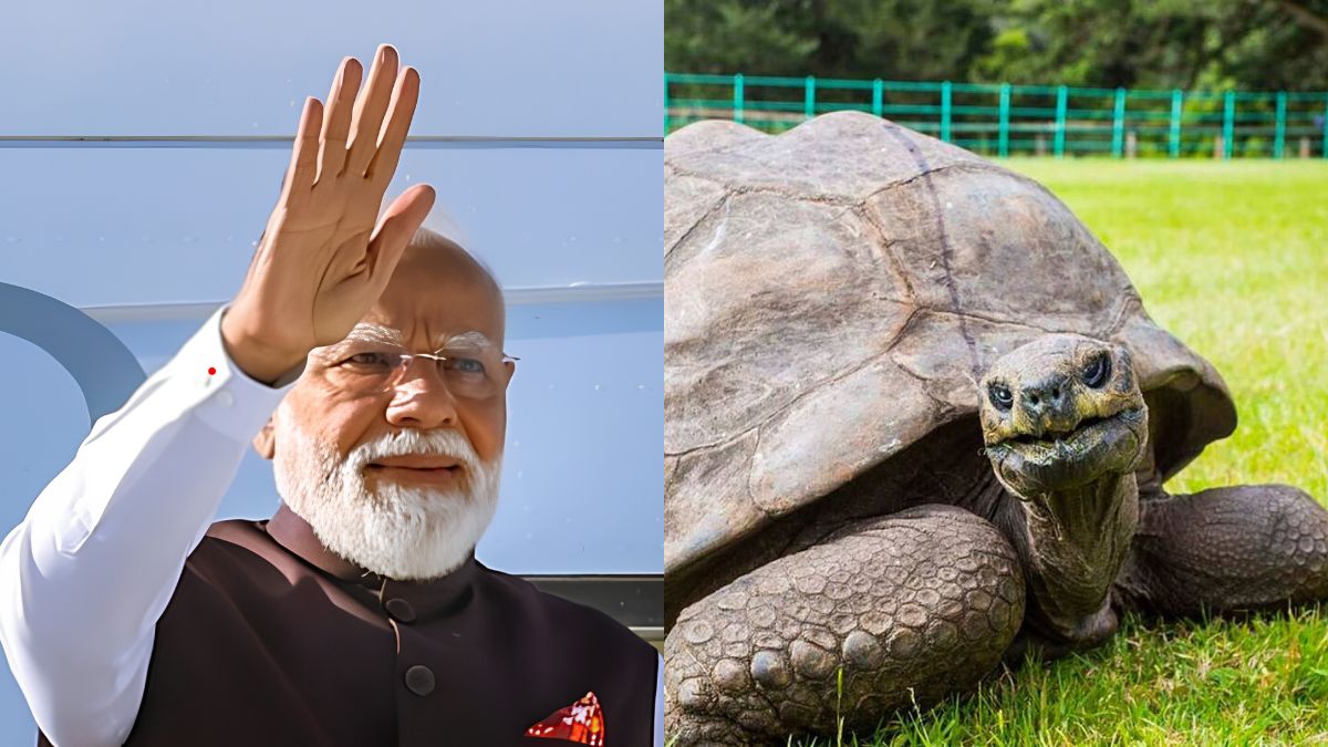 Which is the world's oldest living land animal PM Modi will meet in Seychelles? – Firstpost