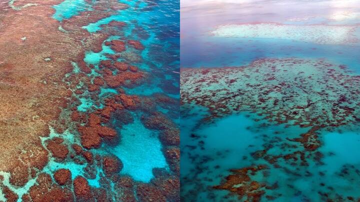Which country is known for the Great Barrier Reef?