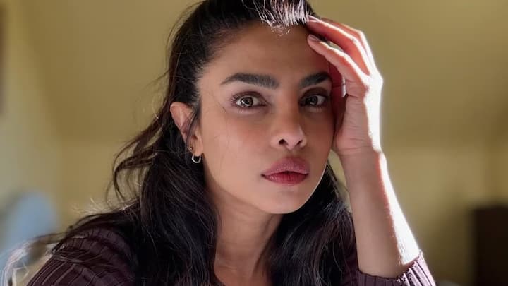 Priyanka Chopra makes a strong statement on 'Gender Bias': 'Cleaning and cooking aren't women's work but...'