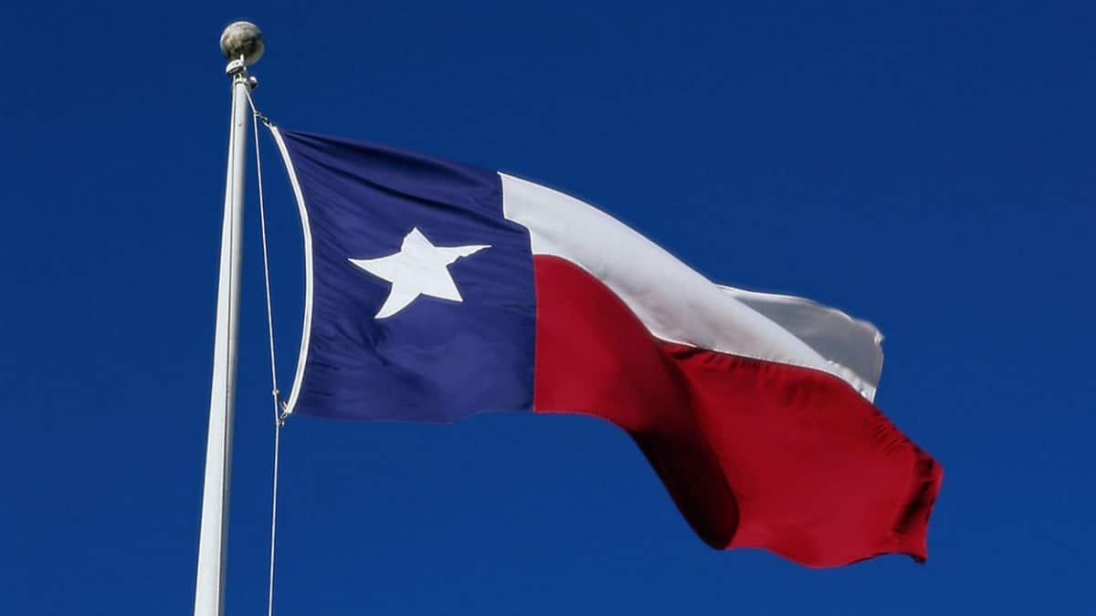 'Make it generic': Indian-American says Texas realtor wanted Hindu idols removed amid bias concerns â Firstpost