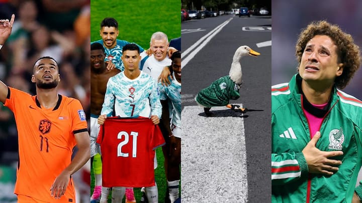 Duck, Decrees and Drama: How the World Cup has transcended sports to become celebration of life