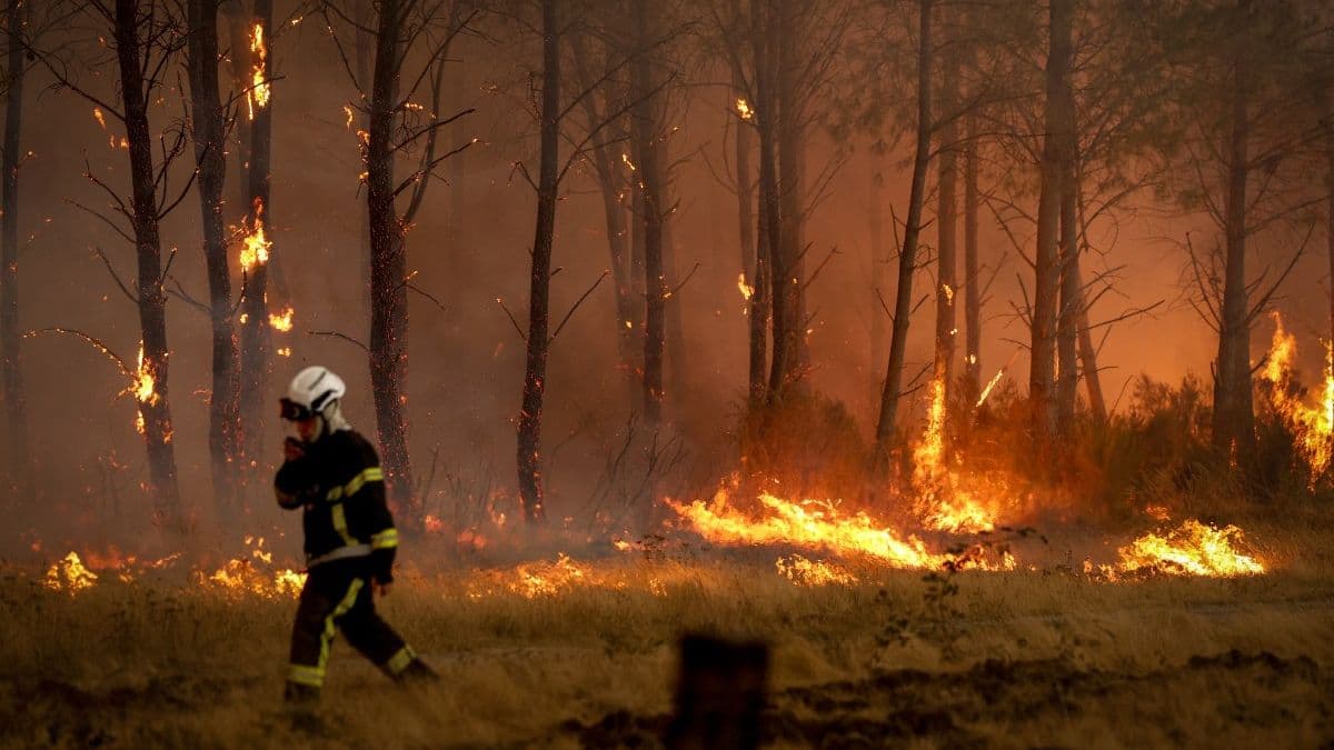 Global News Highlights: Wildfires, Iran Tensions, Fed Rates, More