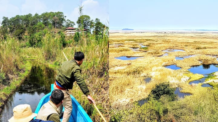 World's only floating national park is in India - everything you need to know