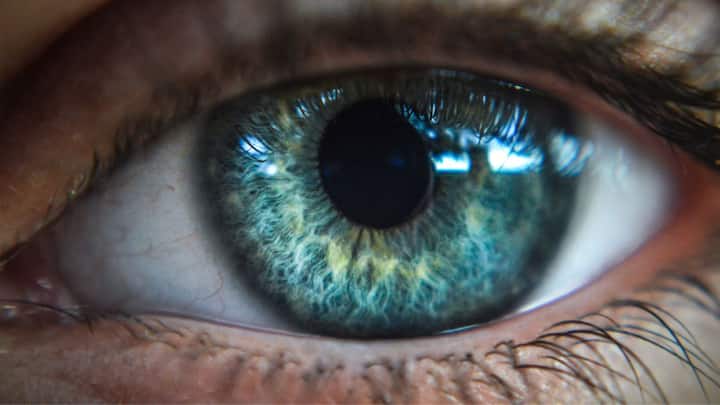Human retinas can respond to light 10 hours after death, reveals study Human retinas can respond to light 10 hours after death, reveals study