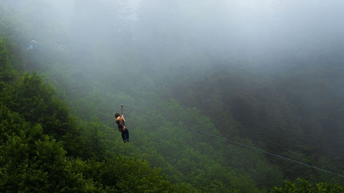 Dandeli Zipline Accident Highlights Safety Concerns in Adventure Tourism