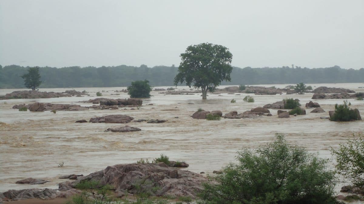 Chita Andolan: Tribal Protest Against Ken-Betwa River Project