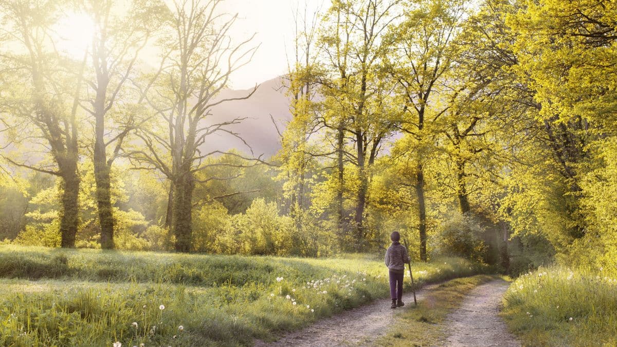 Hobbitmaxxing Trend Combines Slow Living and Tolkien