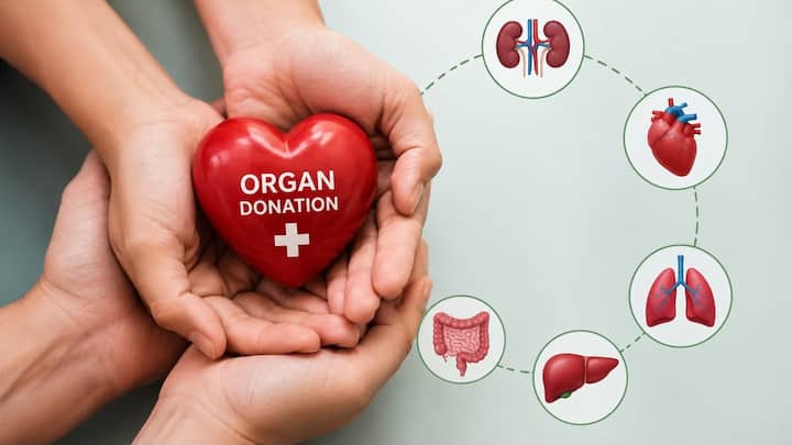 Organ donation: 5 myths you need to stop believing, according to a transplant specialist Firstpost Image